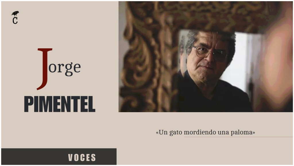 17. Voces: «Un gato mordiendo una paloma» | Jorge&nbsp;Pimentel